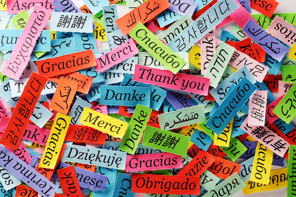 Image of 'Thank you' written on different coloured paper in different languages