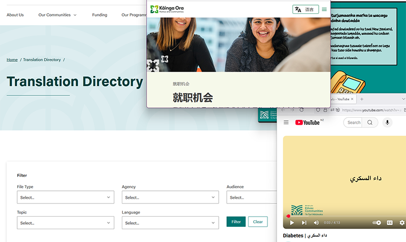 Screen shot of the Translation Directory page - with a couple of the  directory entries opened ontop.