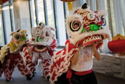 Lion dance performers