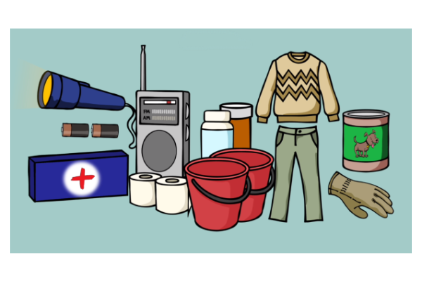 MEC What you will need in an emergency